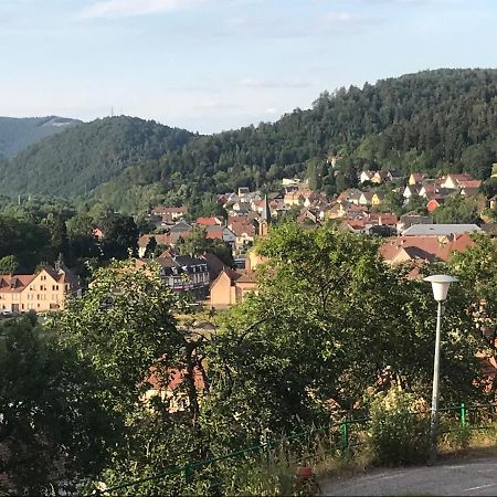 Chez Jose Apartment Rothau Екстериор снимка