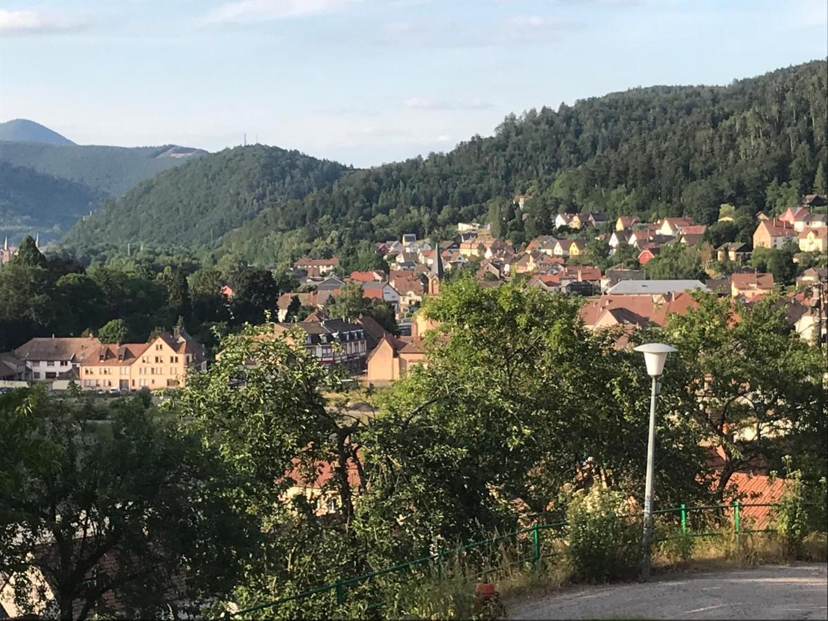 Chez Jose Apartment Rothau Екстериор снимка